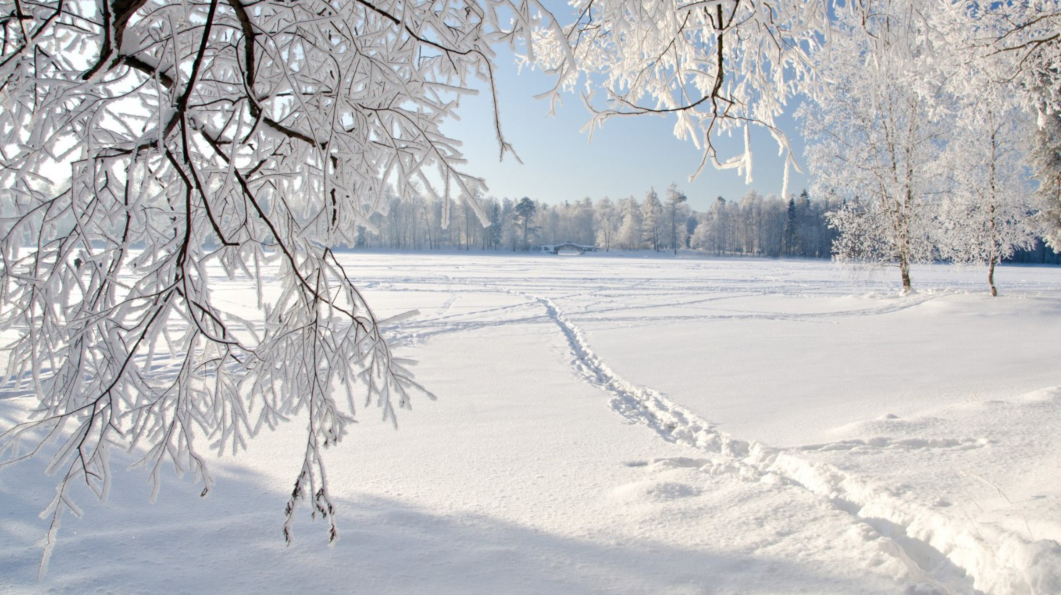 1764836780517111.png 9B58F079-B507-4e0d-814A-1D8BA9E1EED8.png