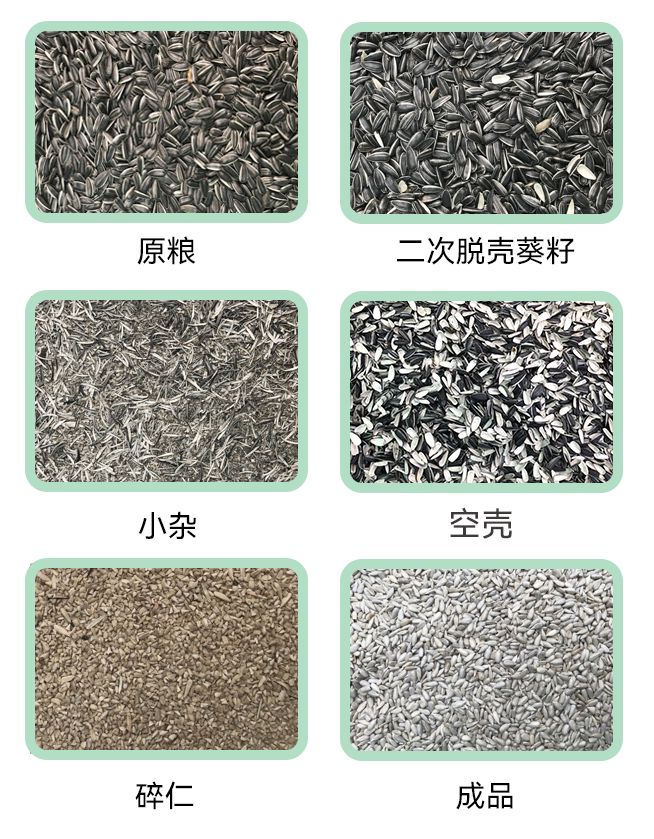 葵花籽脫殼生產(chǎn)線(xiàn)小程序.jpg