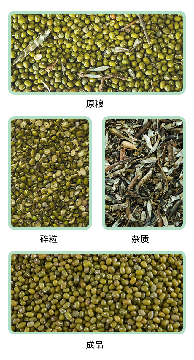 1769415858189088.jpg 風(fēng)篩清選機(jī)小程序.jpg